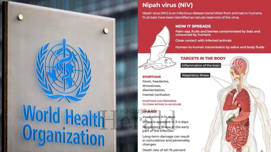 Nipah virus cases