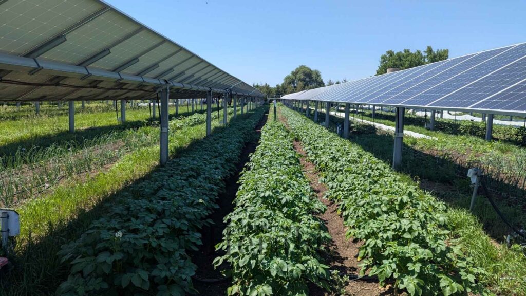 Solar Geoengineering