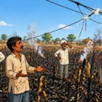 Pembi Mandal Crop Fire